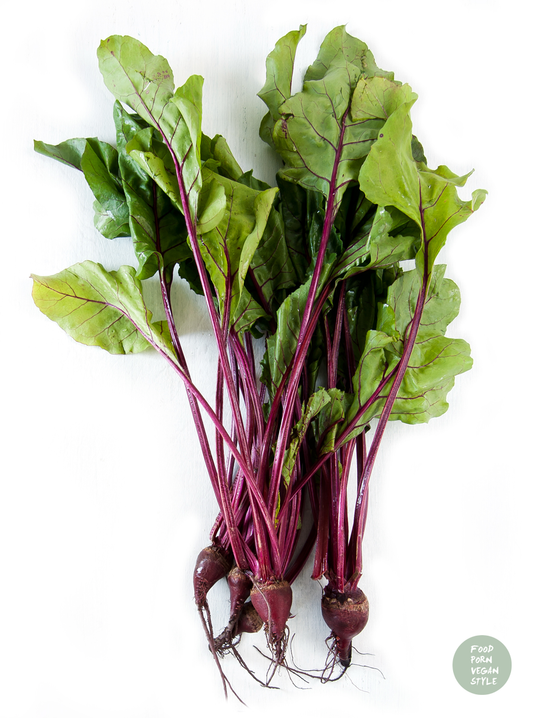 BOTWINKA WIĄZKA 3SZT PL