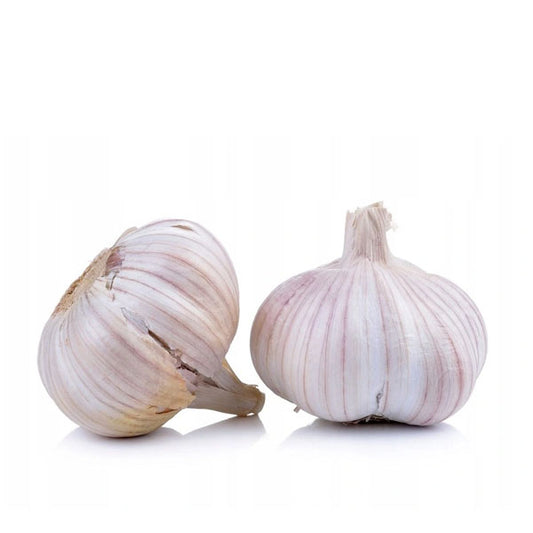 Czosnek hiszpański 1główka