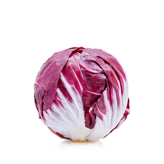 Radicchio, cykoria włoska 1szt