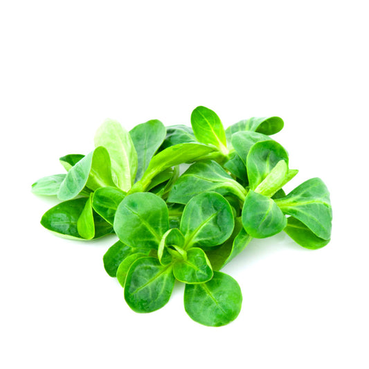 Sałata roszponka 100g