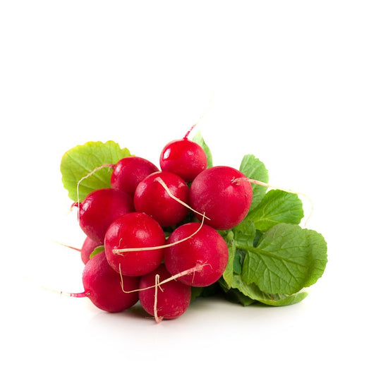 Rzodkiewka świeża (wiązka)