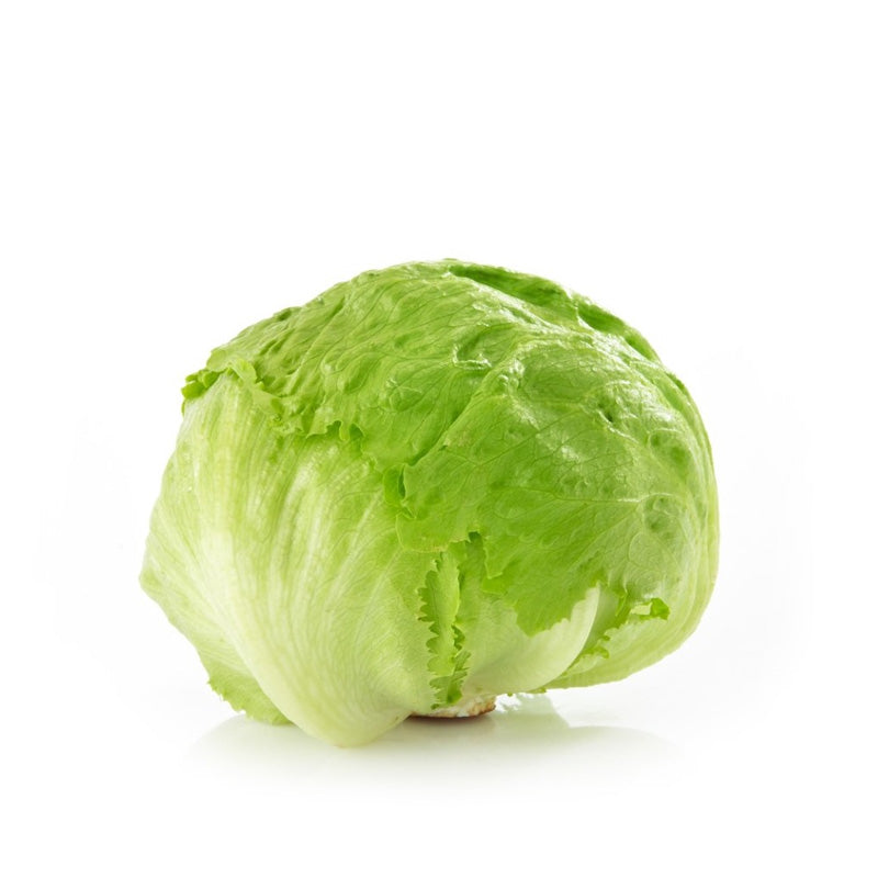 Sałata lodowa 1szt ES