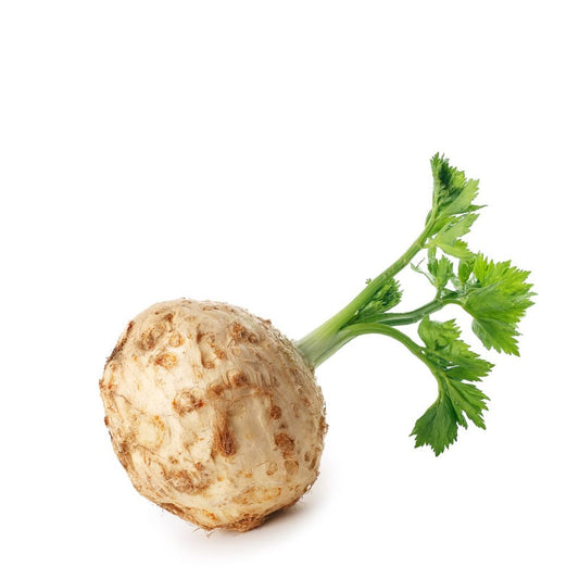 Seler młody z natką 1szt